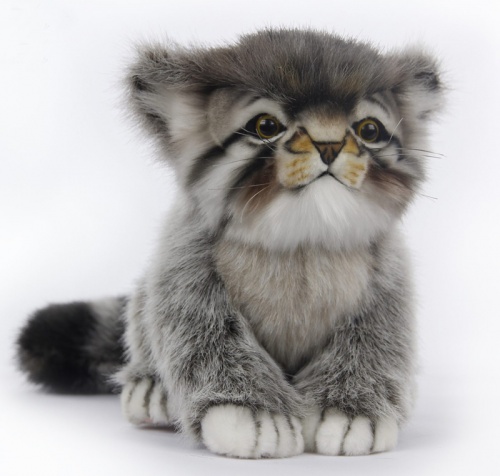 Hansa pallas cat cheap